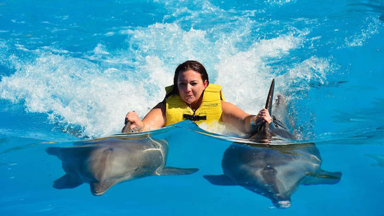 Swimming with Dolphins Sealanya Dolphinpark