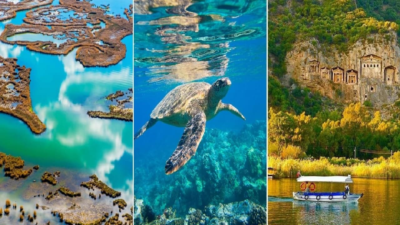 Dalyan Tour Departing from Fethiye