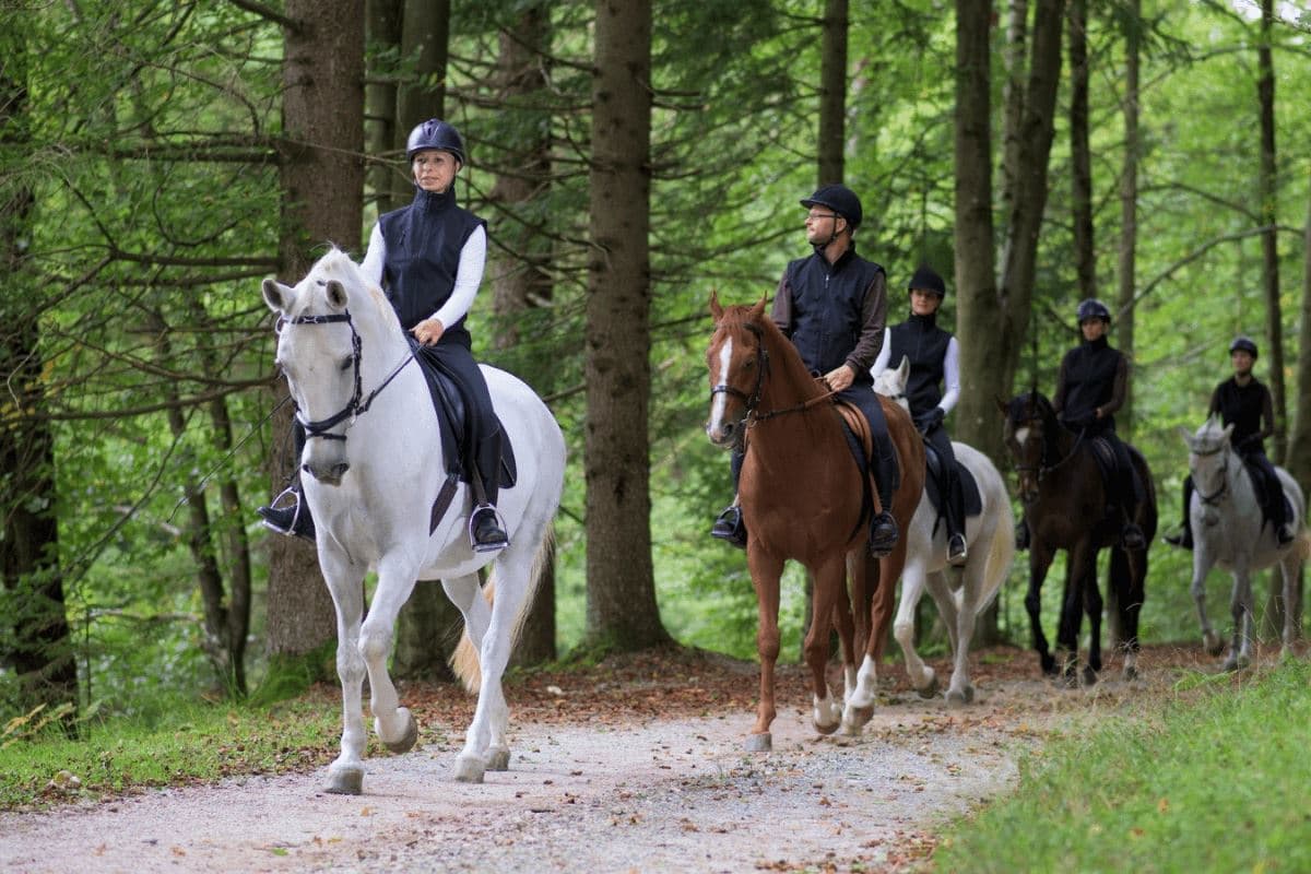 Antalya Horse Riding Tour