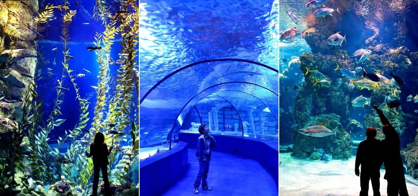 Antalya Aquarium Tour